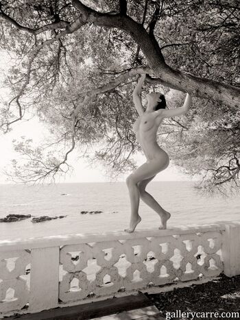 Janine May