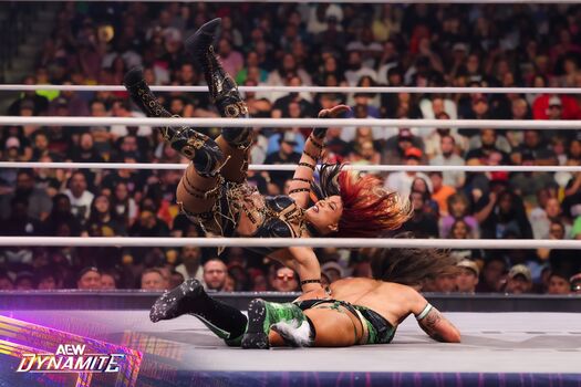 🔥 Sasha banks page leaked private photo uncensored full