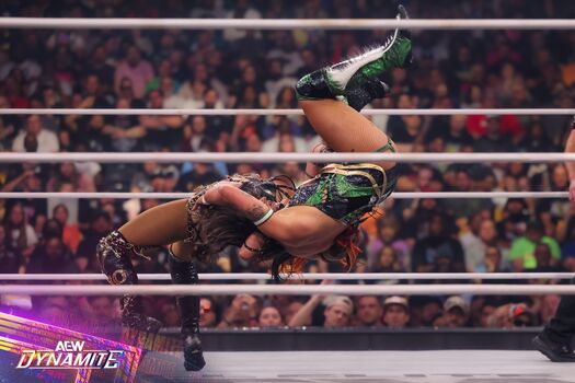 🔥 Sasha banks page leaked private photo uncensored full