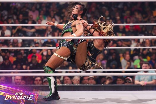 🔥 Sasha banks page leaked private photo uncensored full